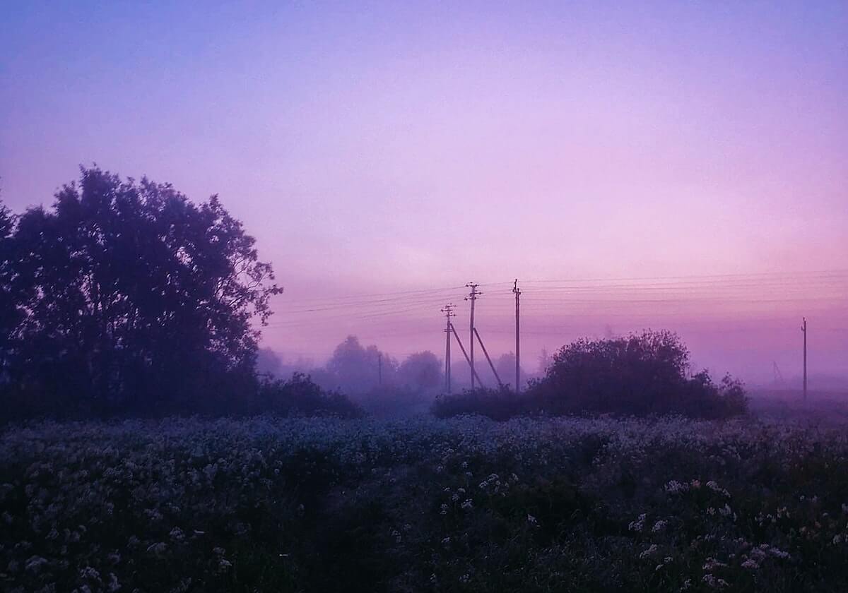 乐鱼在线开户平台：开启安全高效的一站式开户新体验